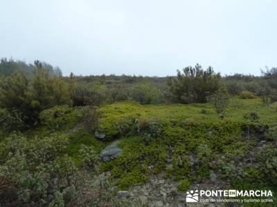 Senderismo Sierra Alto Rey;senderismo calzado